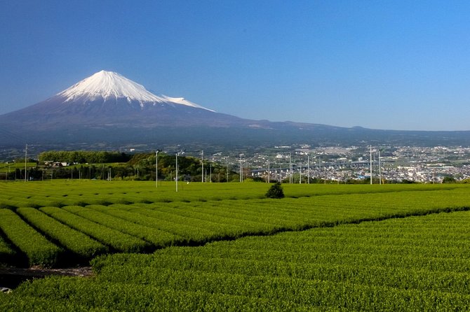 A Trip to Enjoy Subsoil Water and Nature Behind Mt. Fuji - Cancellation Policy and Price