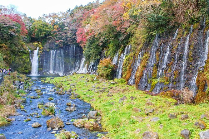 A Trip to Enjoy Subsoil Water and Nature Behind Mt. Fuji - Lowest Price Guarantee and Booking