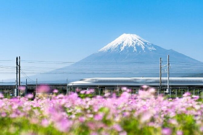 Feel Mt Fuji and Sake Tasting Private Tour From Shin Fuji Station - Booking Information