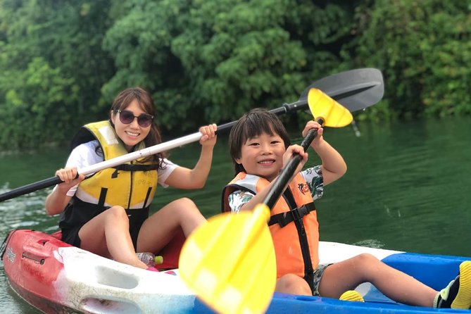 Mangrove Kayaking to Enjoy Nature in Okinawa - Key Takeaways