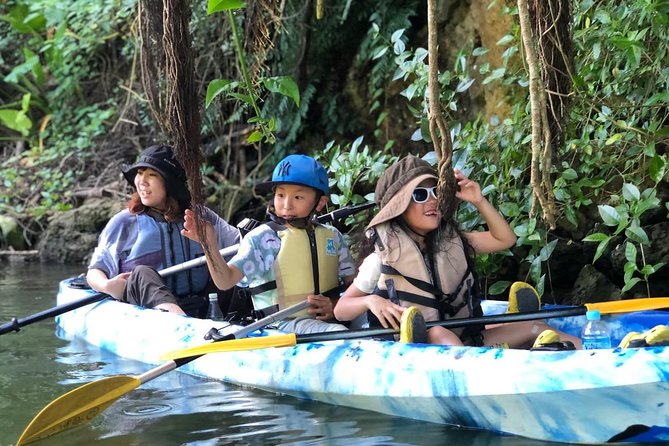 Mangrove Kayaking to Enjoy Nature in Okinawa - Inclusions and Exclusions