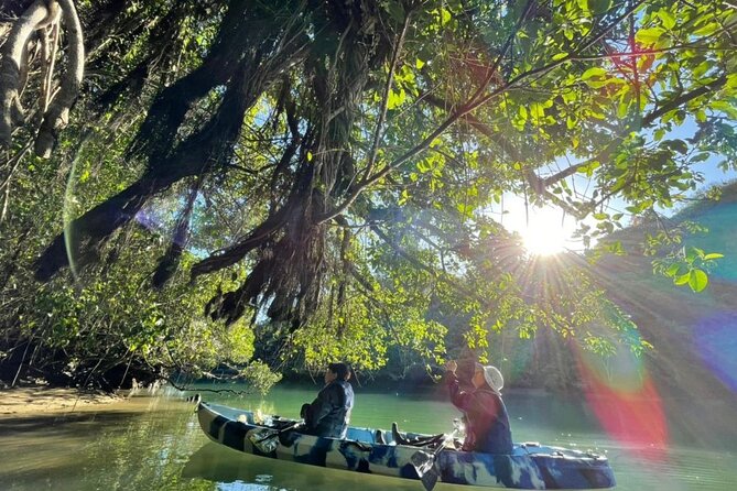 Mangrove Kayaking to Enjoy Nature in Okinawa - Booking Information