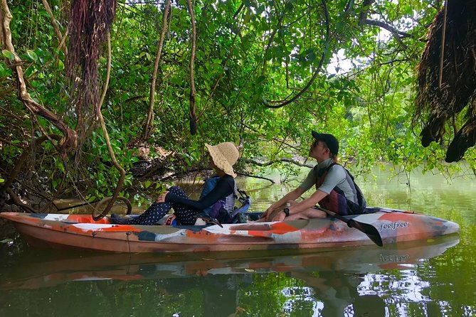 Mangrove Kayaking to Enjoy Nature in Okinawa - Weather and Refund Policy