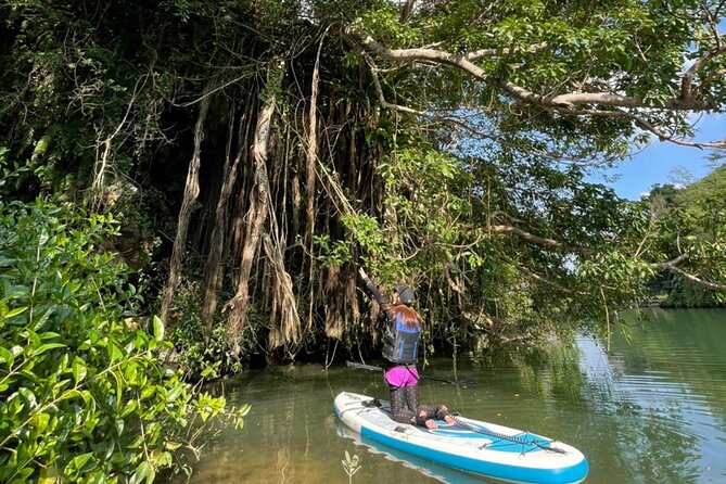 Mangrove SUP in Okinawa - Key Takeaways