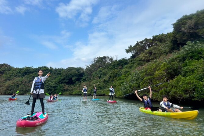 Mangrove SUP in Okinawa - Additional Information and Restrictions