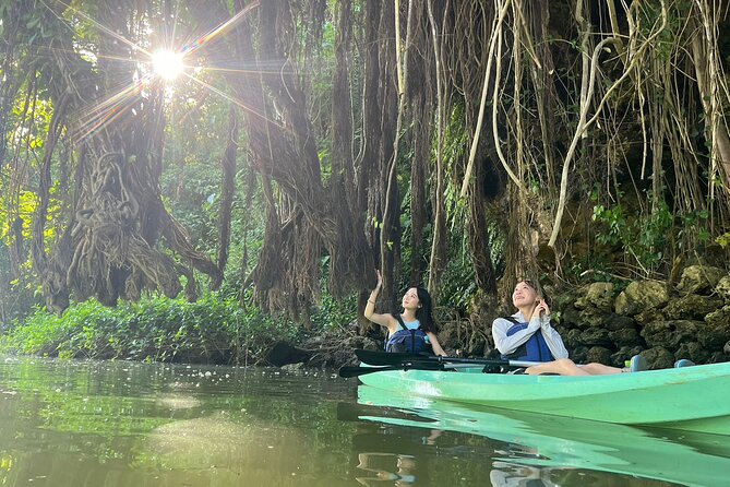 Mangrove Kayak ＆ Sea Fishing Experience in Okinawa - Additional Information and Cancellation Policy