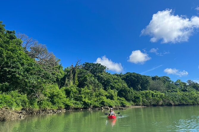 Mangrove Kayak ＆ Sea Fishing Experience in Okinawa - Meeting Instructions and Parking