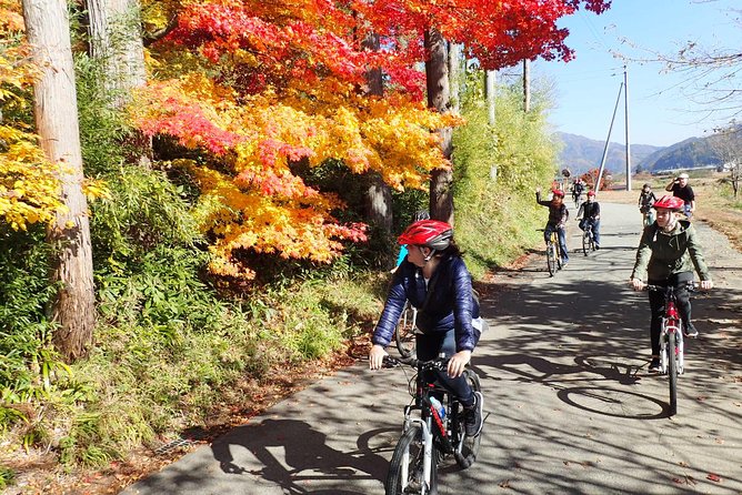 Private Afternoon Cycling Tour in Hida-Furukawa - Inclusions and Exclusions