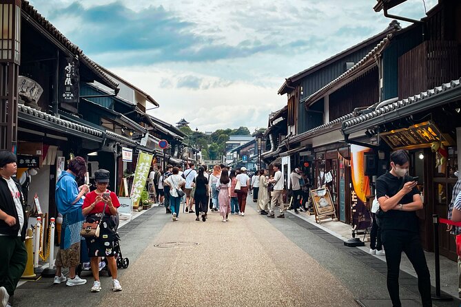 Private Samurai Tour: Discover Inuyama and Gifu Historic Heritage - What To Expect