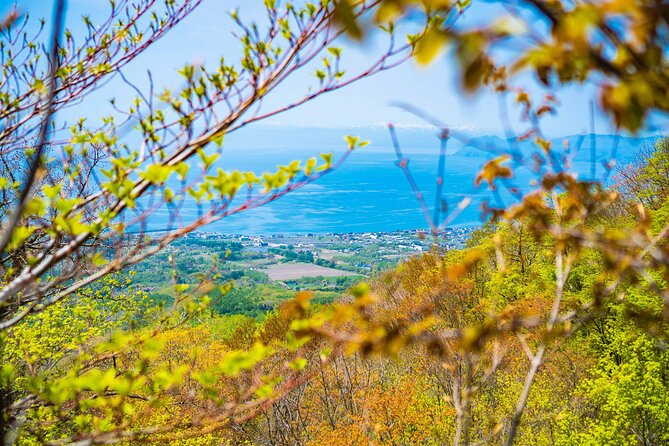 Usuzan Volcano Guided Hiking Private Tour - Cancellation Policy