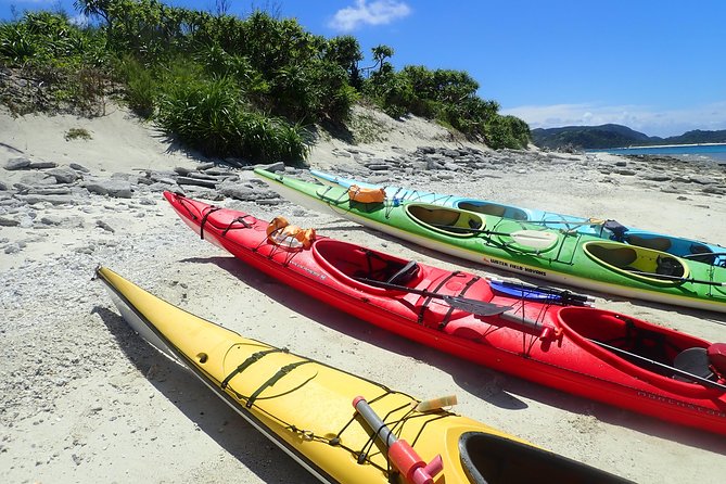 1day Kayak Tour in Kerama Islands and Zamami Island - Reviews