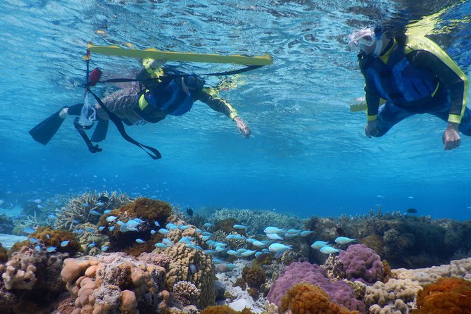 Half-Day Kayak Tour on the Kerama Islands and Zamami Island - Conclusion