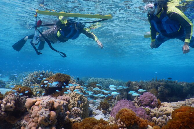 Sea Turtle Snorkel at Kerama Islands and Zamami Island - Meeting and Pickup Information