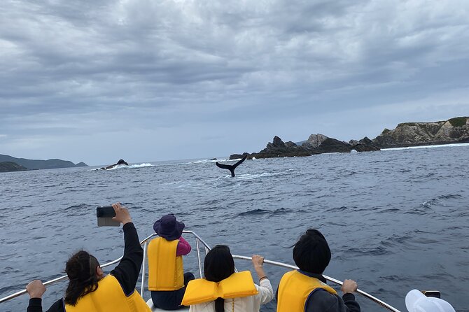 Great Whale Watching at Kerama Islands and Zamami Island - Conclusion