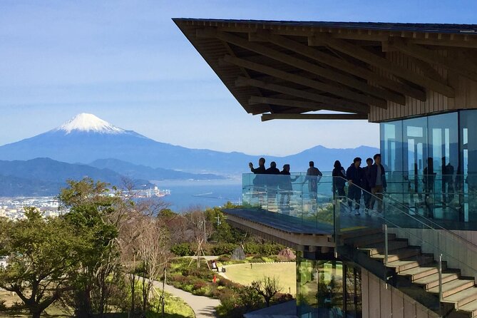 Small Group Japanese Green Tea Tasting in Shizuoka - Pricing and Reviews