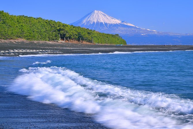 Sightseeing Around Shimizu Port for Cruise Ship Passengers - Additional Information