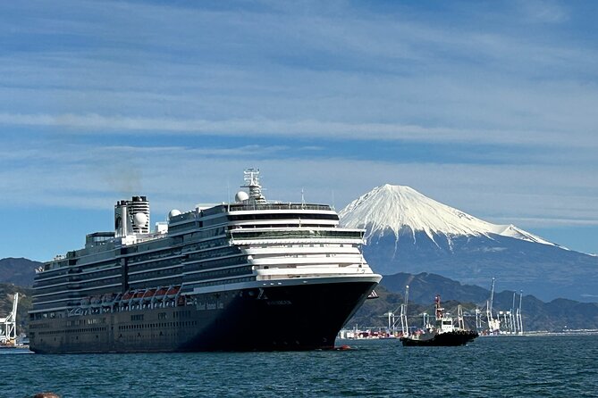 Private Sightseeing Tour in Shimizu Port by Sedan Taxis - Customer Reviews