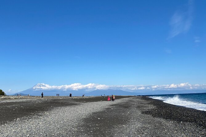Classic Shizuoka With Mt.Fuji Viewing 1 Day Private Tour - Frequently Asked Questions