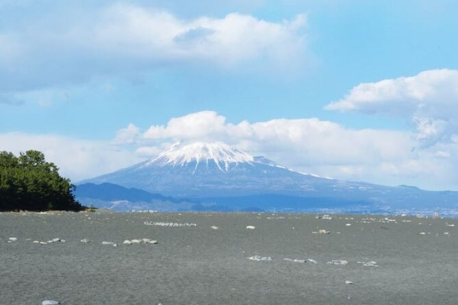 Private Tour From Kunozan Toshogu Shrine to Miho Matsubara - Cancellation Policy and Refunds