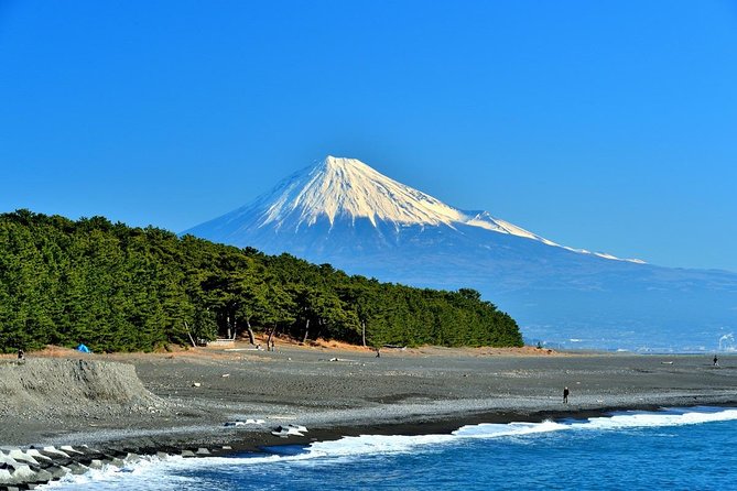 Shizuoka/Shimizu Mt Fuji View 6 Hr Private Tour: Guide Only - Key Takeaways