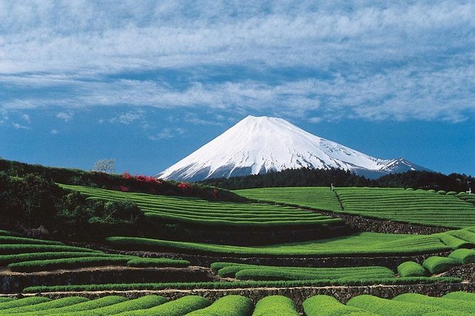 Shizuoka/Shimizu Mt Fuji View 6 Hr Private Tour: Guide Only - Customer Experiences