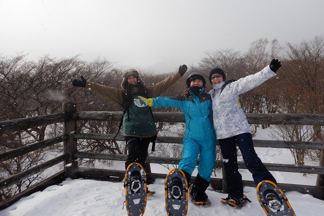 First Snow Play & Snowshoe - Key Takeaways