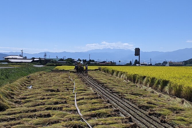 Etour De Matsumoto - Electric Bike Tour - End Point