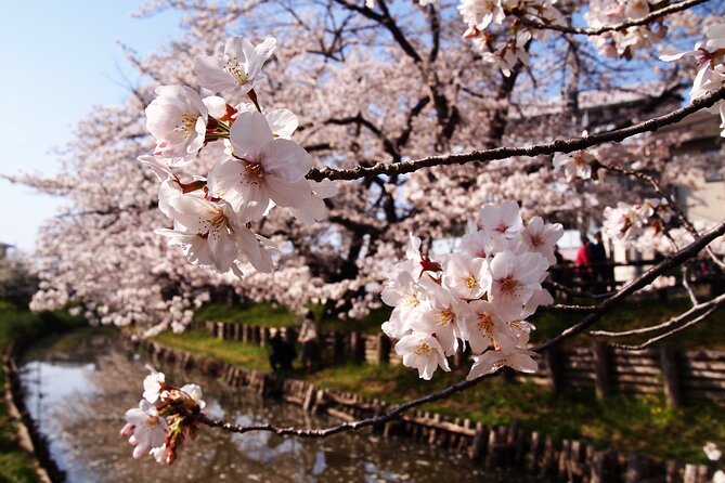 1 Hour Private Photoshoot in Matsumoto Nagano - Conclusion