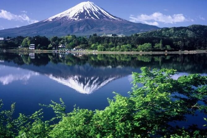 Full Day Private Tour To Mount Fuji Assisted By English Chauffeur - Handling Negative Feedback Professionally