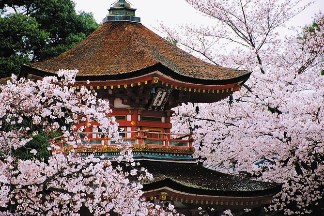 7-Day Guided Tour in Tokyo, Mount Fuji, Kyoto, Nara and Osaka - Frequently Asked Questions