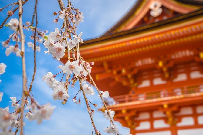 10 Days In-depth Discover Japan Deluxe Tour - Sightseeing Inclusions