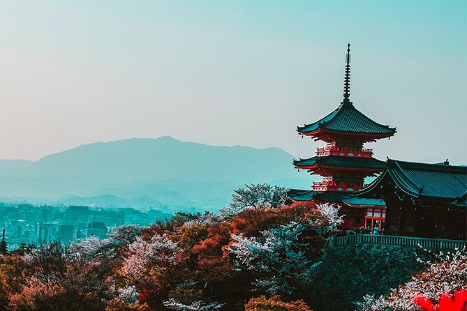 10 Days In-depth Discover Japan Deluxe Tour - Exclusions