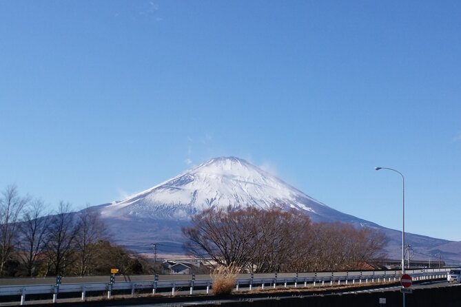 3 Day Japan Highlights Tour (Tokyo, Hakone, Nara, Osaka, Kyoto). - Meals Provided