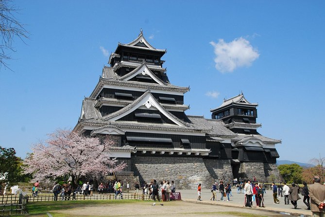 Kumamoto Custom Full Day Tour - English-speaking Guide