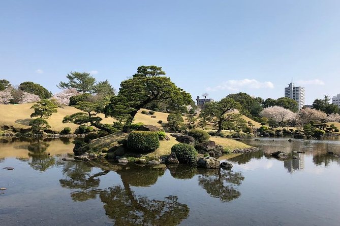 Kumamoto Half-Day Private Tour With Government-Licensed Guide - Important Considerations