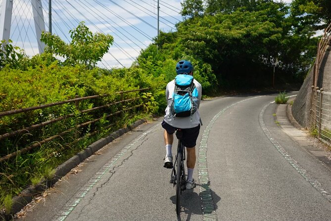 Photogenic Shimanami Kaido Private Cycling Tours - Conclusion