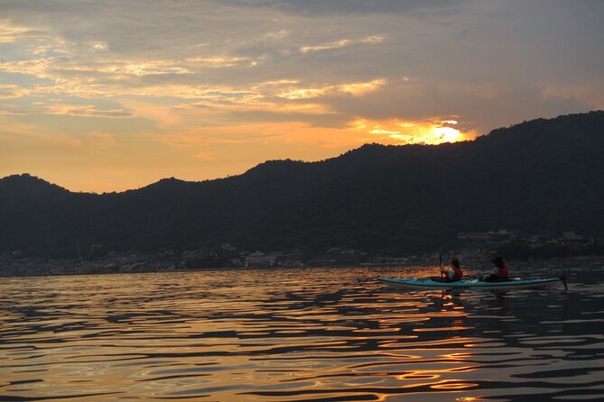 Night Kayak Tour Relax Under the Natural Glow of Sea Fireflies - Key Takeaways