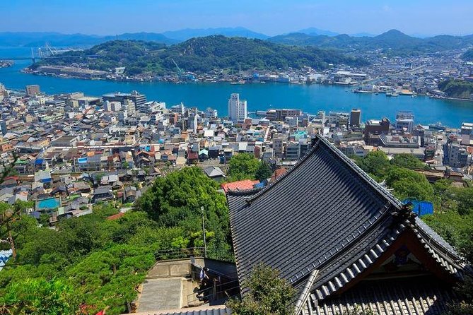 Fukuyama/Tomonoura Full-Day Private Tour With Government-Licensed Guide - Price and Booking