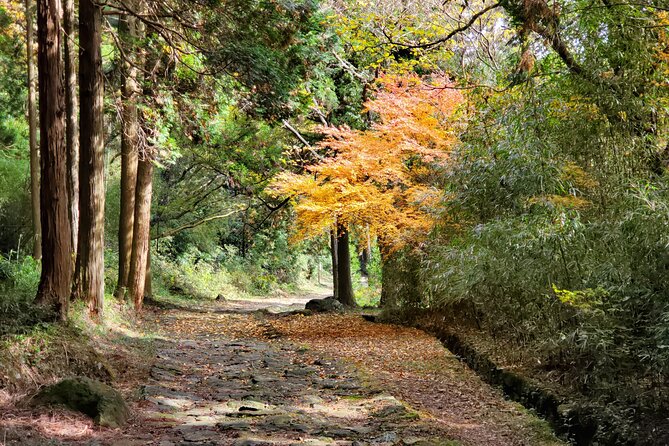 Walking Through the Aso Caldera, Historical Walk Along the Bungo Kaido - Travel Experience and Insights