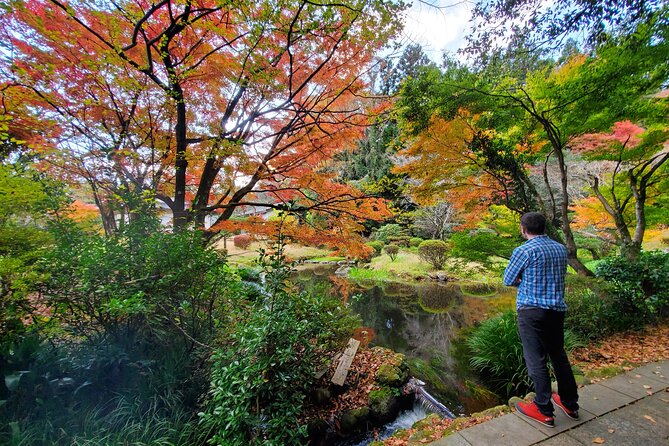 Walking Through the Aso Caldera, Historical Walk Along the Bungo Kaido - Reviews and Feedback