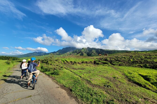 Private E-Mtb Guided Cycling Around Mt. Aso Volcano & Grasslands - Cancellation Policy