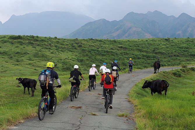 Private E-Mtb Guided Cycling Around Mt. Aso Volcano & Grasslands - Reviews