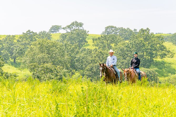 3-Days Experience to Feel the Nature of Aso - Day 3: Cultural Immersion in Aso