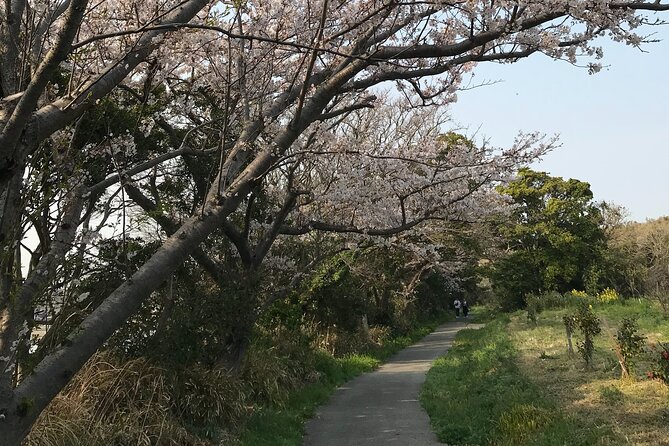 Nature Observation, Tumulus, Arts, Kobo Trails Tour of Sakushima - Frequently Asked Questions