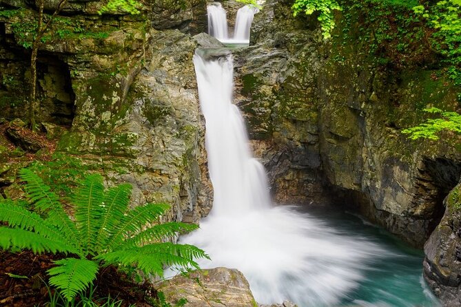 [From Takayama or Gero]Half Day Trip in Hida-Osaka Waterfall - Booking Options and Cancellation Policy