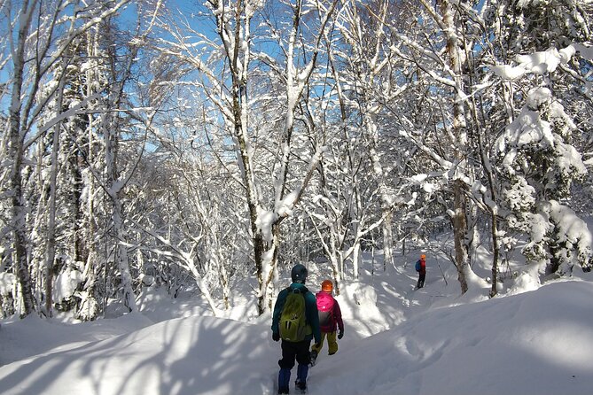 Frozen Fall Trekking - Reservation and Requirements