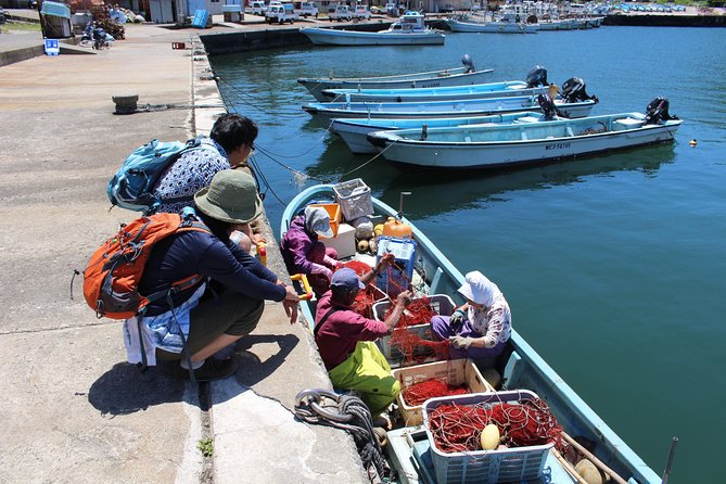 Explore Fishermen Island in Japan(Ise-Shima) - Conclusion