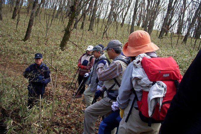 Relax and Refresh in Karuizawa Forest! Shinanoji Down Trekking Around Two People - Duration and Price Information