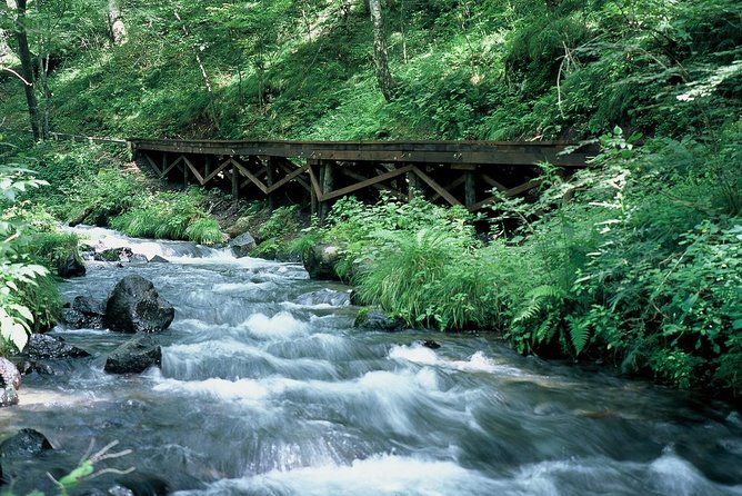 Relax and Refresh in Karuizawa Forest! Shinanoji Down Trekking Around Two People - Reviews and Ratings Overview