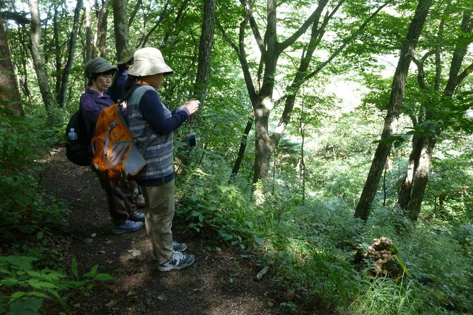 Old Nakasendo Trekking From Karuizawa-Beyond Sugahi Pass to Sakamoto Hotel- - Key Takeaways